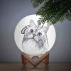 Immagine di Lampada lunare con foto personalizzata 3D magica con controllo tattile per animali domestici adorabili (10cm-20cm)