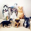 Immagine di Cuscino 3D personalizzato per animali domestici - Personalizza con il tuo adorabile animale domestico