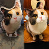 Immagine di Cuscino 3D personalizzato per animali domestici - Personalizza con il tuo adorabile animale domestico