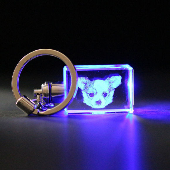 Immagine di 3D Laser Crystal Gift in Ritratto