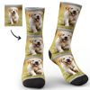 Immagine di Personalizza i tuoi calzini per il viso per il tuo animale domestico